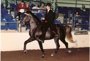 Nuncio 1996 show